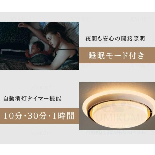 シーリングファンライト DCモーター シーリングライト 木目 LED 6段風量調整 おしゃれ 北欧 12畳 調光調色 天井照明 サーキュレーター 扇風機 和室 静音 和室