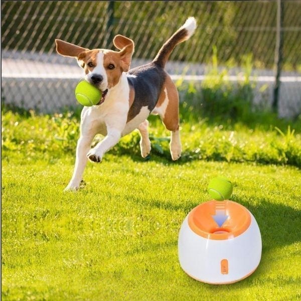 ペットおもちゃ ボールランチャー 犬用ボール 自動テニスボールランチャー 自動 投げ 投球機 小型犬 中型犬用 ボール3個付き 自動ボールランチャー_4