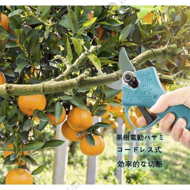 電動剪定ばさみ 電動剪定バサミ 電動ハサミ 枝切ばさみ 枝切り鋏 切断直径30mm 庭木 枝切り 軽量 ガーデニング マキタバッテリー互換 おすすめ_11