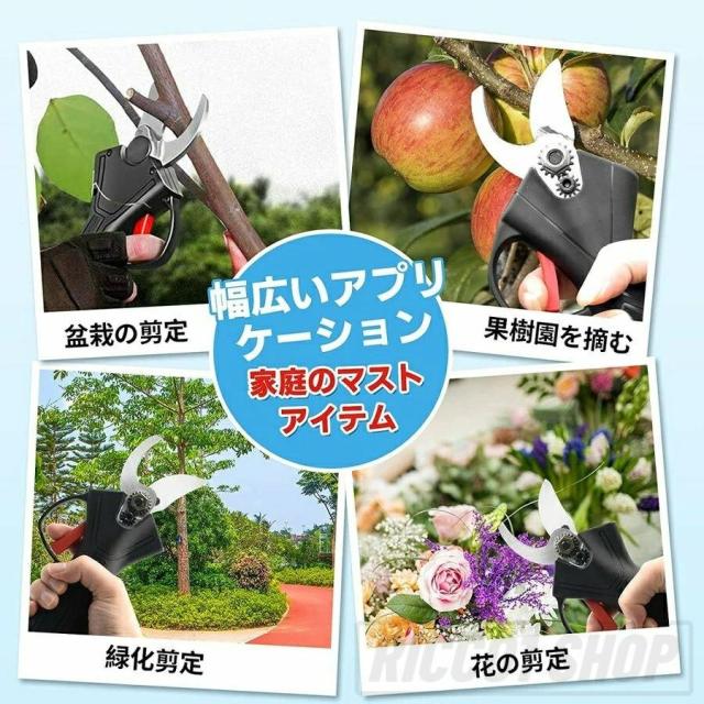進化版 電動剪定ばさみ 充電式 剪定ばさみ 枝切り 枝切ばさみ 切断枝径30mm コードレス 軽量 剪定鋏 枝きりはさみ 電動ハサミ 庭木 園芸用 新品_4