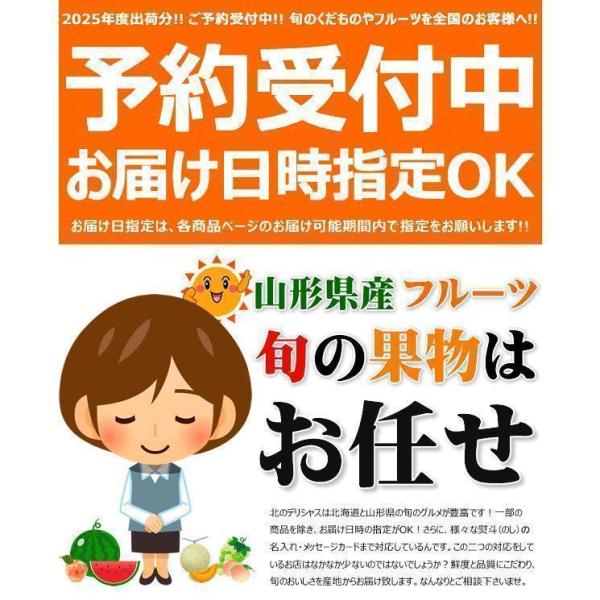 【予約】 山形県産 ご家庭用 尾花沢すいか 2玉 (1玉 約8kg) 尾花沢スイカ 夏スイカ 夏スイカ日本一 すいか スイカ 西瓜 大玉 自宅用 家庭用 おうち用 訳あり わけあり お得 お買い得 食べ放題 人気 おすすめ 果物 フルーツ 山形県 産地直送 送料無料 お取り寄せの通販は