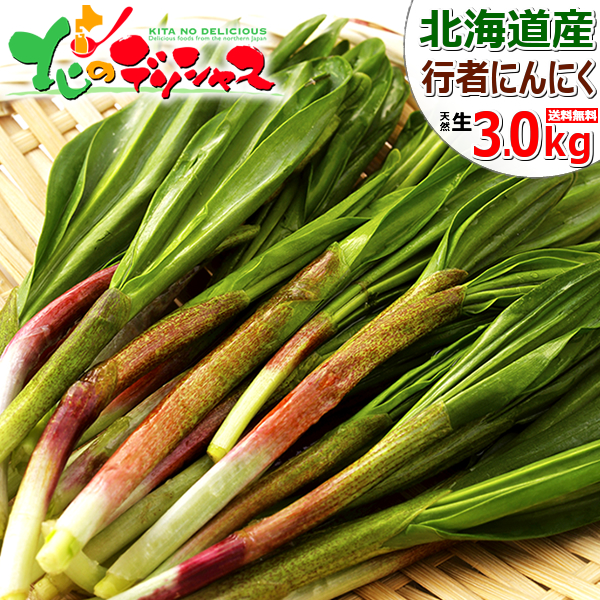 予約】北海道産 山菜 行者にんにく 3kg (1束 50g/食用/冷蔵便