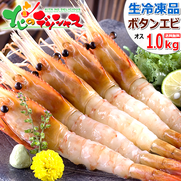 エビ ボタンエビ 1kg (BL/オス/21-23尾入り/生冷凍) えび 海老 ぼたんえび お刺身 刺身用 冬ギフト お歳暮 お年賀 ギフト 贈り物 お祝い お礼 内祝い プレゼント 自宅用 家庭用 おうち用 年末 年越し 年始 お正月 北海道 ご馳走 グルメ お取り寄せ