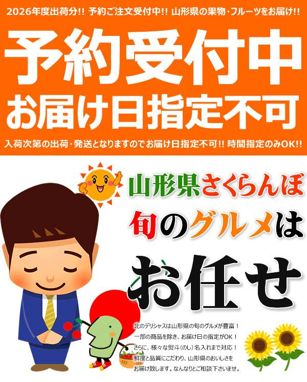 【予約】 山形県産 ご家庭用 双子 さくらんぼ 800g×2箱 (訳あり/ばら詰め/産地箱/常温) 露地 サクランボ 佐藤錦 紅秀峰 ふたご ふたご果 双子果 わけあり ご家庭用 お得 お買い得 果物 フルーツ 山形県 東根市 産地直送 お取り寄せ_12
