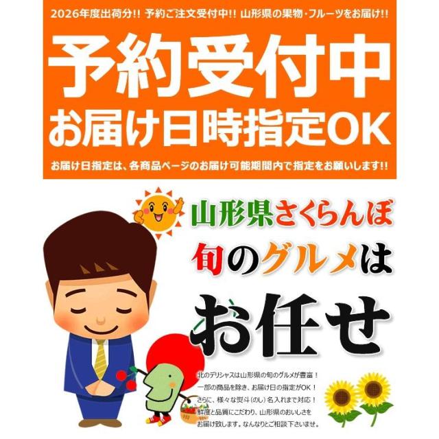 【予約】山形県産 晩生 さくらんぼ (貯蔵品/秀品/2Lサイズ/1箱300g入り/化粧箱入り/冷蔵便) 晩生 お届け日時指定OK 旬 露地物 サクランボ お中元 ギフト 贈り物 お祝い お礼 ご家庭用 山形県 果物 フルーツ お取り寄せ