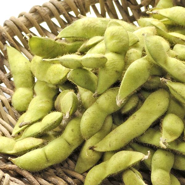 【予約】 山形県産 枝豆 だだちゃ豆 5kg (秀品/500gx10袋/冷蔵) 山形県 鶴岡市 伝統野菜 豆 えだまめ だだちゃ だだちゃまめ 夏ギフト 残暑見舞い ギフト 贈り物 お祝い お礼 お返し プレゼント 自宅用 野菜 グルメ 産地直送 お取り寄せ_1