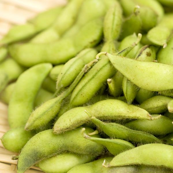 【予約】 山形県産 枝豆 だだちゃ豆 5kg (秀品/500gx10袋/冷蔵) 山形県 鶴岡市 伝統野菜 豆 えだまめ だだちゃ だだちゃまめ 夏ギフト 残暑見舞い ギフト 贈り物 お祝い お礼 お返し プレゼント 自宅用 野菜 グルメ 産地直送 お取り寄せ_2