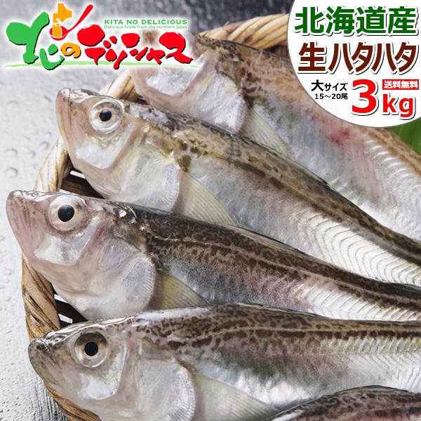 【予約】北海道産 生ハタハタ 1箱 3kg (メス子持ち/冷蔵便) 生 冬の味覚 はたはた ハタハタ 鰰 ぶりこ ブリコ 卵 塩焼き 煮つけ しょっつる鍋 飯寿司 ギフト 贈り物 自宅用 ご家庭用 北海道 グルメ 送料無料 お取り寄せ