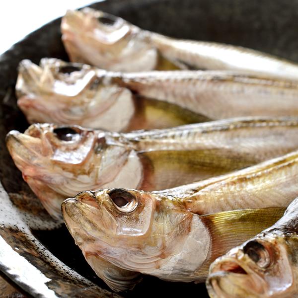 【予約】北海道産 生ハタハタ 1箱 3kg (メス子持ち/冷蔵便) 生 冬の味覚 はたはた ハタハタ 鰰 ぶりこ ブリコ 卵 塩焼き 煮つけ しょっつる鍋 飯寿司 ギフト 贈り物 自宅用 ご家庭用 北海道 グルメ 送料無料 お取り寄せ
