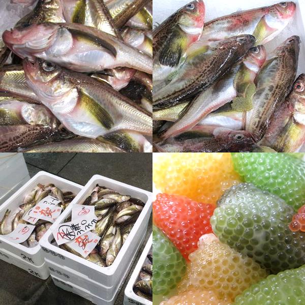 【予約】北海道産 生ハタハタ 1箱 3kg (メス子持ち/冷蔵便) 生 冬の味覚 はたはた ハタハタ 鰰 ぶりこ ブリコ 卵 塩焼き 煮つけ しょっつる鍋 飯寿司 ギフト 贈り物 自宅用 ご家庭用 北海道 グルメ 送料無料 お取り寄せ