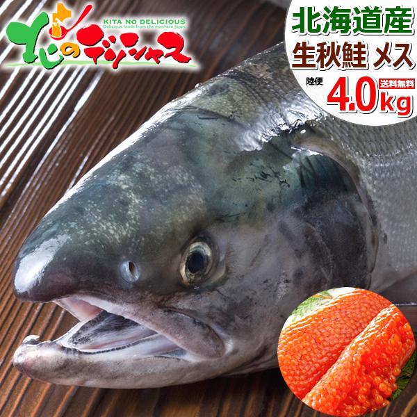 【予約】 北海道産 生秋鮭 4.0kg (メス 筋子付き/冷蔵) 秋の味覚 生 天然物 さけ サケ しゃけ シャケ 秋サケ 秋シャケ シロサケ アキサケ アキアジ 鍋 鮭鍋 石狩鍋 ちゃんちゃん焼き ギフト 贈り物 プレゼント 自宅用 家庭用 北海道 グルメ お取り寄せ