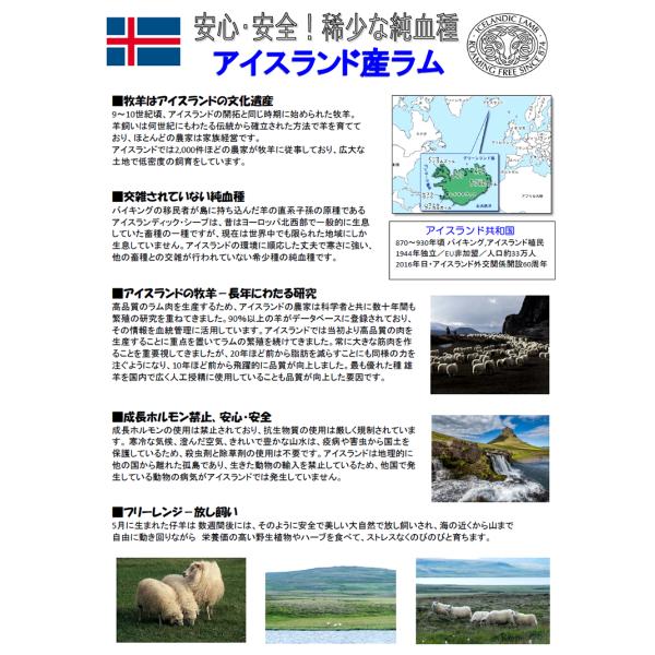 ラム肉 熟成 アイスランドラム ブロック 1.4kg (ショルダー/冷凍) ジンギスカン 肉 羊肉 ラム アイスランド産 アイスランドラム肉 焼肉 BBQ お歳暮 ギフト 贈り物 贈答 お祝い お礼 プレゼント 自宅用 家庭用 おうち用 北海道 グルメ 肉の山本 千歳ラム工房 お取り寄せ_2