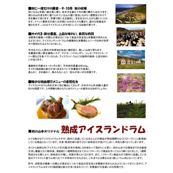 ラム肉 熟成 アイスランドラム ブロック 1.4kg (ショルダー/冷凍) ジンギスカン 肉 羊肉 ラム アイスランド産 アイスランドラム肉 焼肉 BBQ お歳暮 ギフト 贈り物 贈答 お祝い お礼 プレゼント 自宅用 家庭用 おうち用 北海道 グルメ 肉の山本 千歳ラム工房 お取り寄せ_3