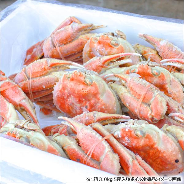 カニ ご家庭用 ズワイガニ 2kg箱 (訳あり/姿/3尾〜4尾入り/ボイル冷凍) ずわい ずわいかに ずわい蟹 ズワイ蟹 ズワイ ズワイガニ ズワイ蟹 2kg わけあり 訳あり 自宅用 家庭用 おうち用 北海道 グルメ お取り寄せ_1