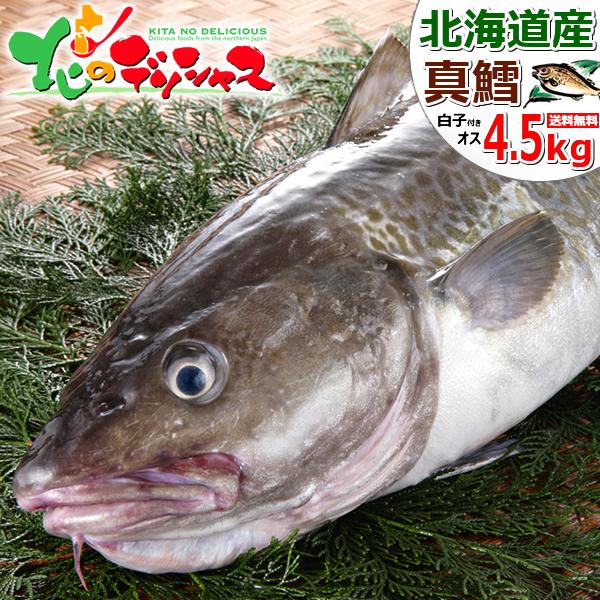 【予約】 北海道産 天然 真鱈 (マダラ) 1本 約4.5kg (オス/白子/冷蔵便) 生 冬の味覚 たら タラ 鱈 まだら 真たら 真タラ 真鱈 寒鱈 しらこ 白子 タチ マダチ 真だち 精巣 ギフト 贈り物 プレゼント 自宅用 人気 北海道 送料無料 お取り寄せグルメの通販は 8,745円