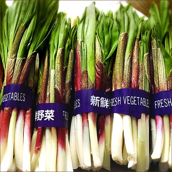 北海道産 天然 行者にんにく醤油漬け 8本 (天然/冷蔵) 希少 品薄 山菜 行者にんにく 行者ニンニク キトピロ 醤油漬け 行者ニンニク醤油漬け ご飯のお供 ギフト 贈り物 お祝い お礼 お返し 内祝い プレゼント 自宅用 家庭用 おうち用 北海道 グルメ お取り寄せ_5