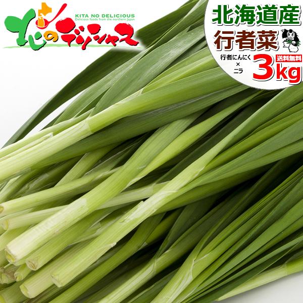 【予約/お届け日指定不可】 北海道 網走産 行者菜 3kg (100g×30束入り/冷蔵/) 網走市 特産品 行者にんにく×にら 行者ニンニク×ニラ オホーツク行者菜研究会 滋養強壮 スタミナ抜群 自宅用 家庭用 おうち用 北海道 食品 グルメ 北海道直送 お取り寄せ