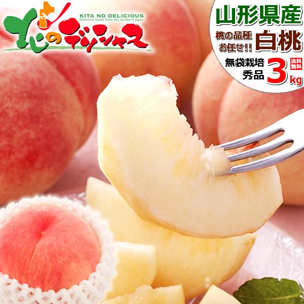 【予約】 山形県産 白桃 3kg (秀品/7玉〜11玉入り/冷蔵便) 北の桃源郷 北限の桃 はくとう もも モモ 桃 白桃 夏ギフト 残暑見舞い ギフト 贈り物 贈答 お祝い お礼 お返し プレゼント ご家庭用 果物 フルーツ 山形県 送料無料 お取り寄せの通販は