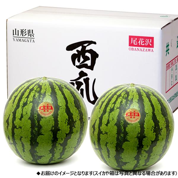 【予約】 山形県産 ご家庭用 尾花沢すいか 2玉 (1玉 約8kg) 尾花沢スイカ 夏スイカ 夏スイカ日本一 すいか スイカ 西瓜 大玉 自宅用 家庭用 おうち用 訳あり わけあり お得 お買い得 食べ放題 人気 おすすめ 果物 フルーツ 山形県 産地直送 送料無料 お取り寄せの通販は