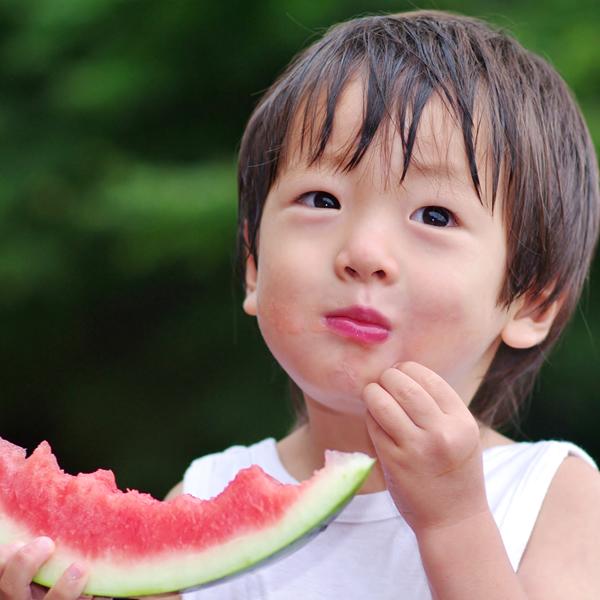 【予約】 山形県産 ご家庭用 尾花沢すいか 2玉 (1玉 約8kg) 尾花沢スイカ 夏スイカ 夏スイカ日本一 すいか スイカ 西瓜 大玉 自宅用 家庭用 おうち用 訳あり わけあり お得 お買い得 食べ放題 人気 おすすめ 果物 フルーツ 山形県 産地直送 送料無料 お取り寄せの通販は