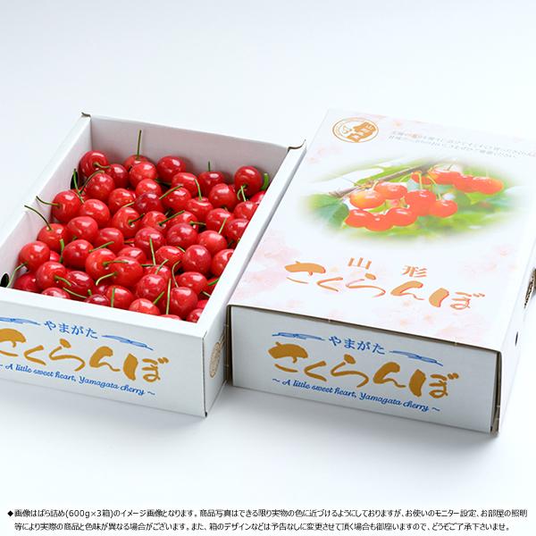 【予約】 山形県産 さくらんぼ 佐藤錦 1.8kg (秀品/Lサイズ/ばら詰め/600g×3箱/化粧箱入り/クール冷蔵) 初夏 旬 サクランボ ギフト 贈り物 贈答 お祝い お礼 お返し 内祝い プレゼント 果物 フルーツ 山形県 東根市 お取り寄せ_1