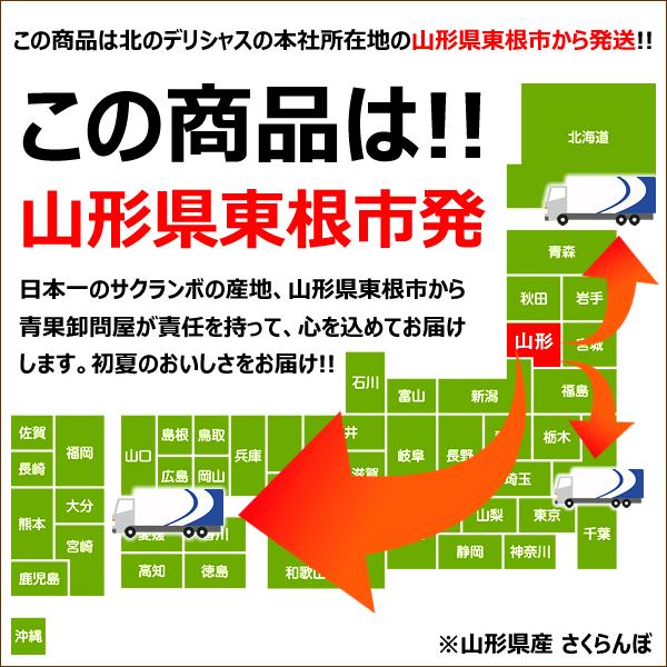 【予約】 山形県産 さくらんぼ 佐藤錦 1.8kg (秀品/Lサイズ/ばら詰め/600g×3箱/化粧箱入り/クール冷蔵) 初夏 旬 サクランボ ギフト 贈り物 贈答 お祝い お礼 お返し 内祝い プレゼント 果物 フルーツ 山形県 東根市 お取り寄せ_15