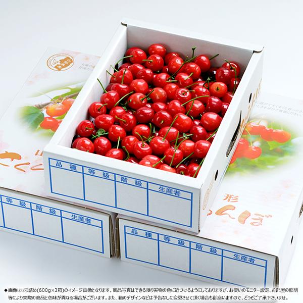 【予約】 山形県産 さくらんぼ 佐藤錦 1.8kg (秀品/Lサイズ/ばら詰め/600g×3箱/化粧箱入り/クール冷蔵) 初夏 旬 サクランボ ギフト 贈り物 贈答 お祝い お礼 お返し 内祝い プレゼント 果物 フルーツ 山形県 東根市 お取り寄せ_2