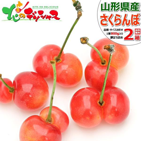 【予約】 山形県産 ご家庭用 双子 さくらんぼ 800g×2箱 (訳あり/ばら詰め/産地箱/常温) 露地 サクランボ 佐藤錦 紅秀峰 ふたご ふたご果 双子果 わけあり ご家庭用 お得 お買い得 果物 フルーツ 山形県 東根市 産地直送 お取り寄せ