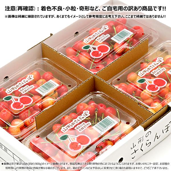 【予約】 山形県産 ご家庭用 双子 さくらんぼ 800g×2箱 (訳あり/ばら詰め/産地箱/常温) 露地 サクランボ 佐藤錦 紅秀峰 ふたご ふたご果 双子果 わけあり ご家庭用 お得 お買い得 果物 フルーツ 山形県 東根市 産地直送 お取り寄せ_4