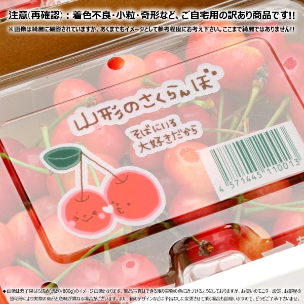 【予約】 山形県産 ご家庭用 双子 さくらんぼ 800g×2箱 (訳あり/ばら詰め/産地箱/常温) 露地 サクランボ 佐藤錦 紅秀峰 ふたご ふたご果 双子果 わけあり ご家庭用 お得 お買い得 果物 フルーツ 山形県 東根市 産地直送 お取り寄せ_5