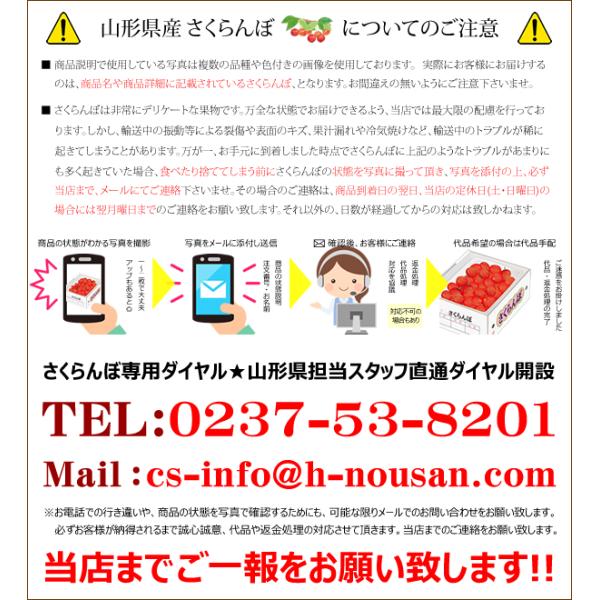 【予約】 山形県産 ご家庭用 双子 さくらんぼ 800g×2箱 (訳あり/ばら詰め/産地箱/常温) 露地 サクランボ 佐藤錦 紅秀峰 ふたご ふたご果 双子果 わけあり ご家庭用 お得 お買い得 果物 フルーツ 山形県 東根市 産地直送 お取り寄せ_9