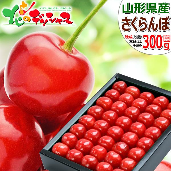 【予約】山形県産 晩生 さくらんぼ (貯蔵品/秀品/2Lサイズ/1箱300g入り/化粧箱入り/冷蔵便) 晩生 お届け日時指定OK 旬 露地物 サクランボ お中元 ギフト 贈り物 お祝い お礼 ご家庭用 山形県 果物 フルーツ お取り寄せ