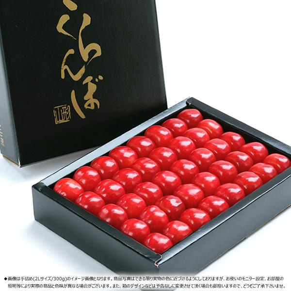 【予約】山形県産 晩生 さくらんぼ (貯蔵品/秀品/2Lサイズ/1箱300g入り/化粧箱入り/冷蔵便) 晩生 お届け日時指定OK 旬 露地物 サクランボ お中元 ギフト 贈り物 お祝い お礼 ご家庭用 山形県 果物 フルーツ お取り寄せ