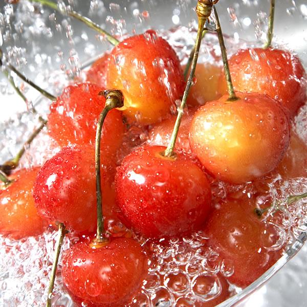 【予約】山形県産 晩生 さくらんぼ (貯蔵品/秀品/2Lサイズ/1箱300g入り/化粧箱入り/冷蔵便) 晩生 お届け日時指定OK 旬 露地物 サクランボ お中元 ギフト 贈り物 お祝い お礼 ご家庭用 山形県 果物 フルーツ お取り寄せ