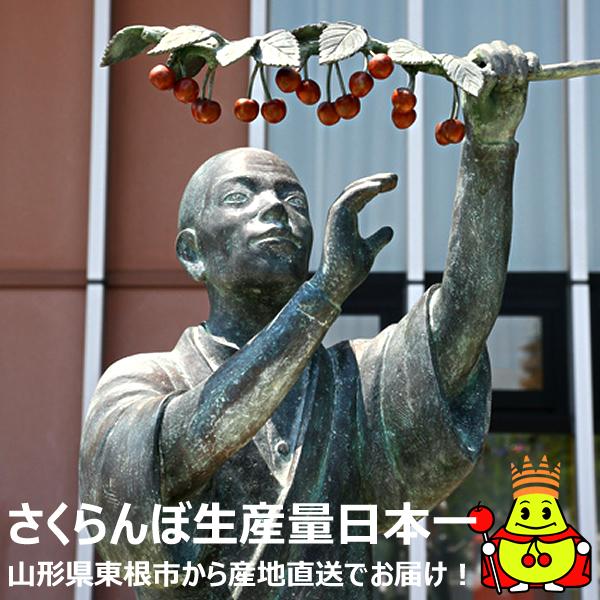 【予約】山形県産 晩生 さくらんぼ (貯蔵品/秀品/2Lサイズ/1箱300g入り/化粧箱入り/冷蔵便) 晩生 お届け日時指定OK 旬 露地物 サクランボ お中元 ギフト 贈り物 お祝い お礼 ご家庭用 山形県 果物 フルーツ お取り寄せ