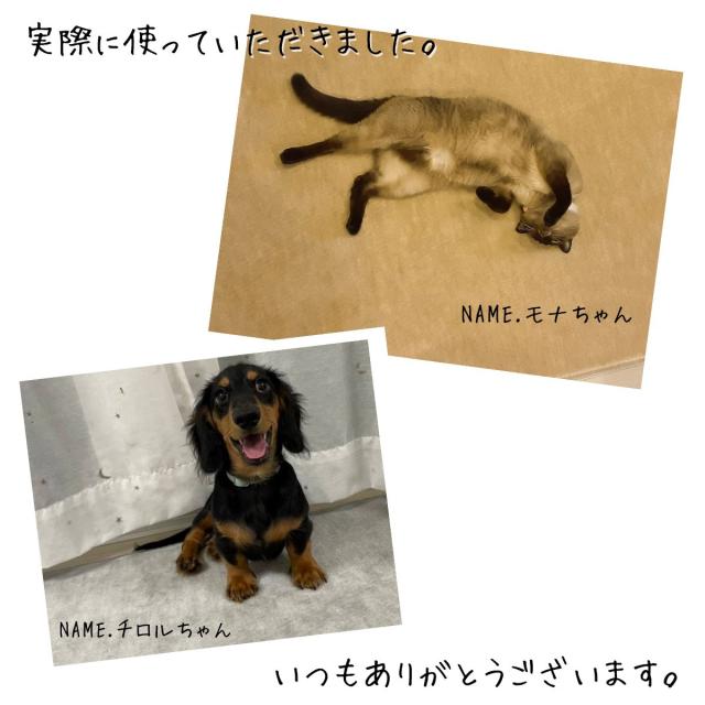 カーペット 六畳 極厚 防音ペットもよろこぶ 江戸間 6畳 261×352cm 厚手 防ダニ 丸巻き保管 抗菌防臭 犬 猫 ペット対応 マット ラグ 日本製 フリーカット ハサミ 切れる オールシーズン 絨毯 じゅうたん 6帖 辻川産業株式会社 Tsujikawa_13