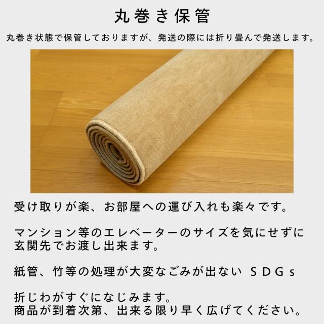 カーペット 六畳 極厚 防音ペットもよろこぶ 江戸間 6畳 261×352cm 厚手 防ダニ 丸巻き保管 抗菌防臭 犬 猫 ペット対応 マット ラグ 日本製 フリーカット ハサミ 切れる オールシーズン 絨毯 じゅうたん 6帖 辻川産業株式会社 Tsujikawa_6