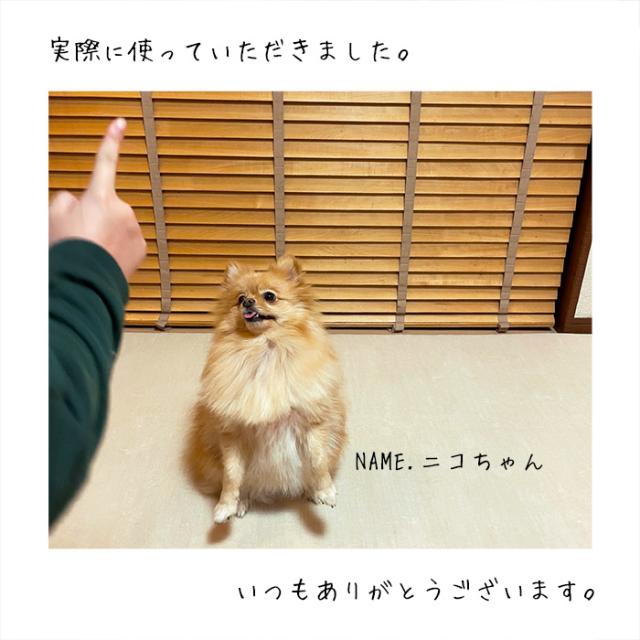 オレンジ　２点 Kawasaki - NINJA ZX-14R