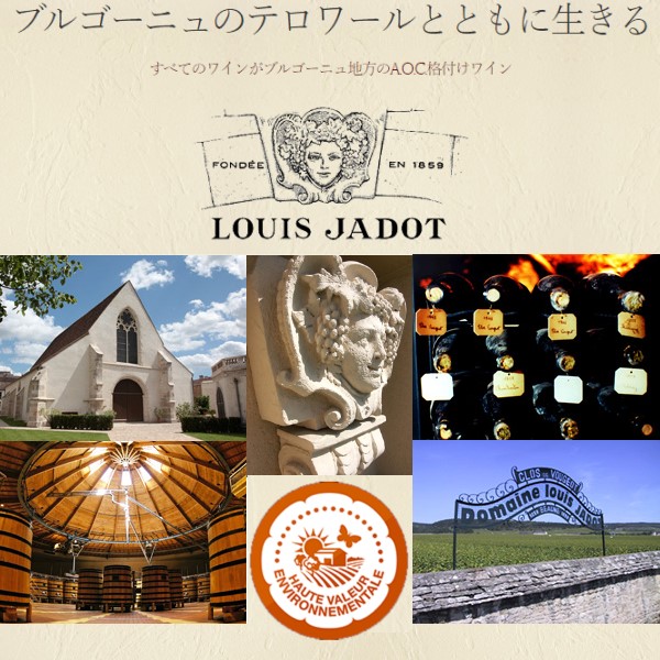 日本リカー ルイ ジャド ブルゴーニュ ルージュ クーヴァン デ ジャコバン 赤 750ml×12本【1ケース】 【ﾚﾋﾞｭｰｷｬﾝﾍﾟｰﾝ中】_1