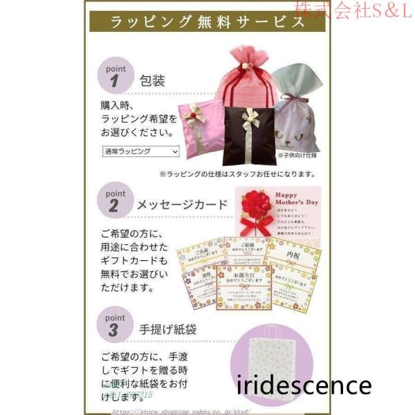 フォーマルドレス 50代 結婚式 ワンピース 袖あり 夏 シニア 30代 70代 パーティードレス 親族 ロング ミセス 株式会社S＆L フォーマルワンピース 大きいサイズ_18