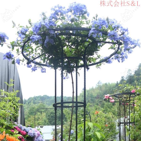 トレリス 園芸 オベリスク 薔薇 朝顔 庭 金属製 支柱 バラのオベリスク ぶどう ミニトマト 株式会社S＆L棚 バラ ガーデニング アサガオ 屋外 ガーデニング用_6