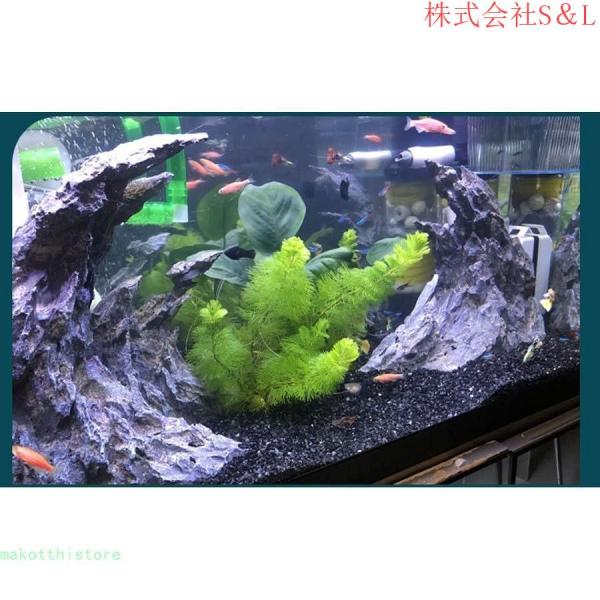 水槽 オブジェインテリア 置物 アクアリウム オーナメント 水槽 オーナメント 人工岩のアクアリウムの飾り バレー 株式会社S＆L水槽セット 掃除簡単_2