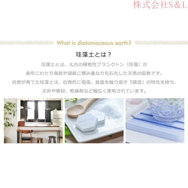 玄関マット珪藻土室内屋外ドアマット無地滑り止め拭けるアスベスト不使用大判吸水速乾抗菌S＆L泥落としスタンダード会社店舗業務用エントランス