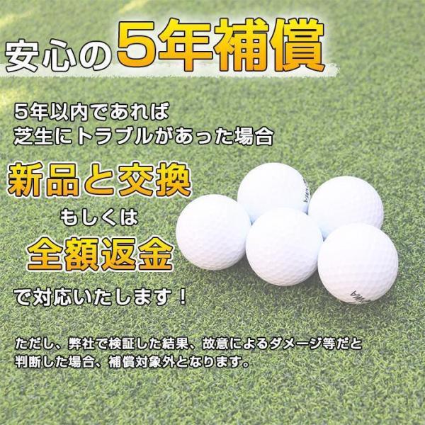 【送料無料】【1m×10ｍ】アプローチ・パット練習用 ゴルフ人工芝 芝丈15mm ロールタイプ_13