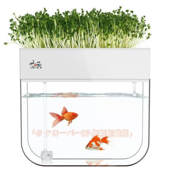 おしゃれ アクアリウム アクアポニックス 水耕栽培システム 有機セルフ給水プランタ 魚 植物 飼育 栽培