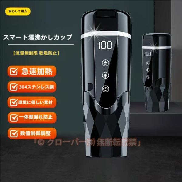 車載電気ケトル 持ち運び 500ml 電気ケトル 小型 電気ボトル ミニ 電気ポット 30℃ 100℃ 軽量 温度調整 カー用＆トラック用 DC12V/24V 車中泊 LCDディスプレイ