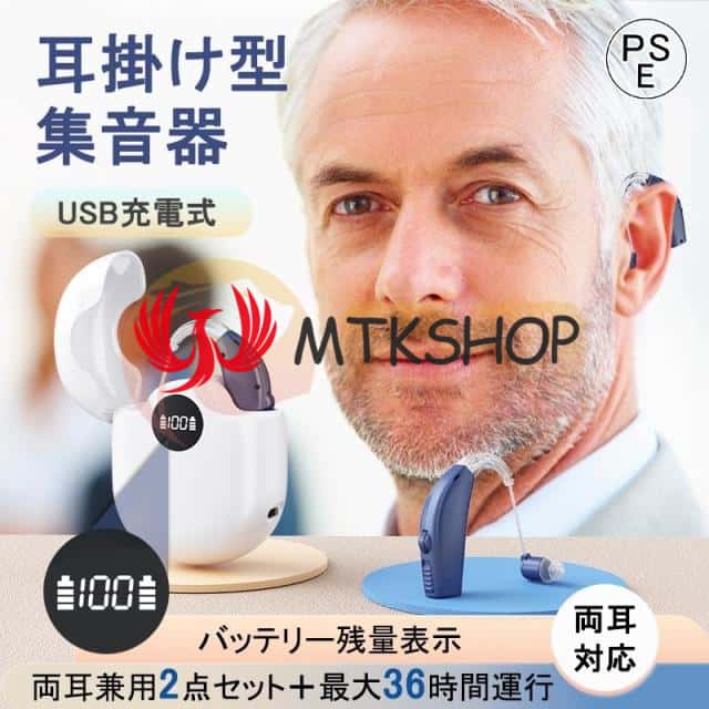 Westem Electric300B真空管1本 導通確認済 入手困難です Z Westem