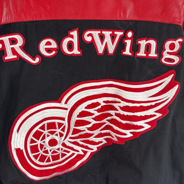 古着 JH USA製 スタジャン アームレザー NHL レッドウィングス ビッグ