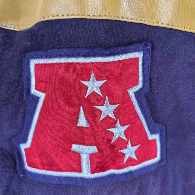 NFLチームロゴ刺繍スタジャン NFL TEAM APPAREL(エヌエフエルチーム
