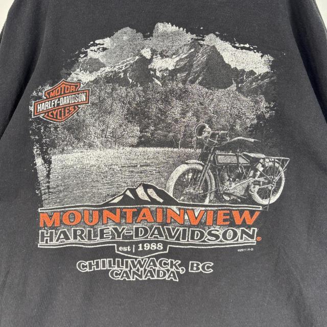 古着 ハーレーダビッドソン HARLEY DAVIDSON 長袖Tシャツ 両面 袖